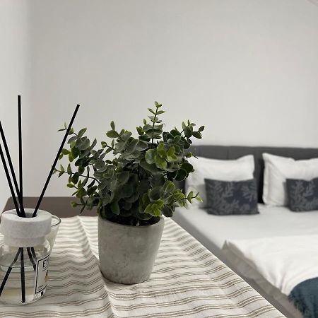 The N Apartment Cluj-Napoca Esterno foto