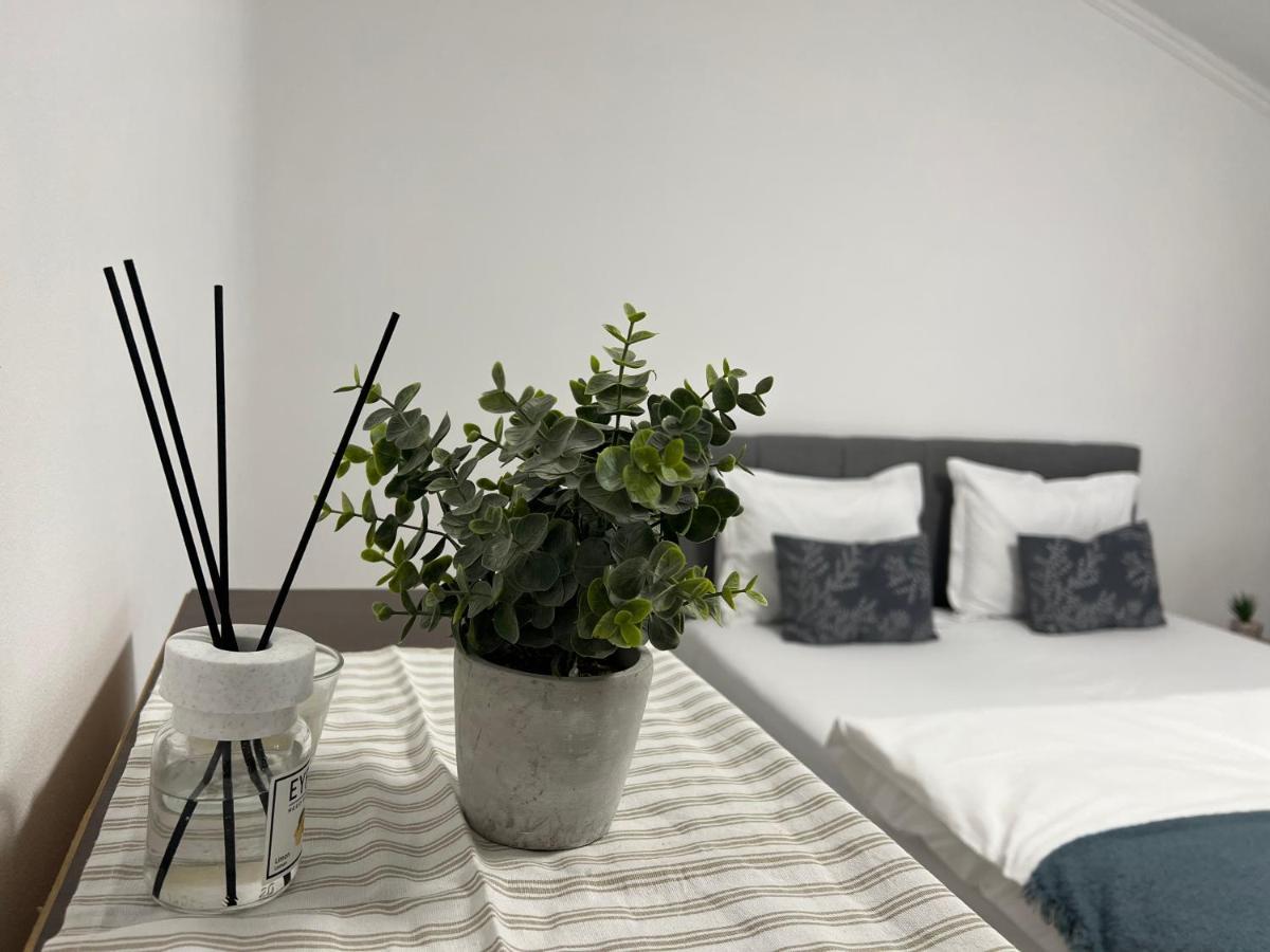 The N Apartment Cluj-Napoca Esterno foto